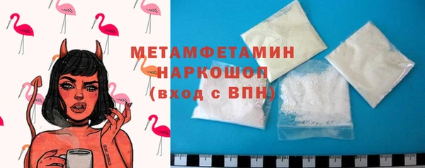 шишки Верея