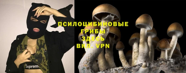 шишки Верея