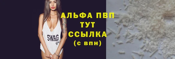 шишки Верея