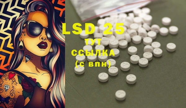 шишки Верея