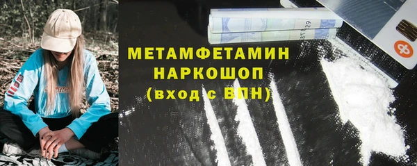 шишки Верея