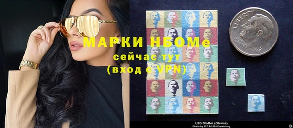 шишки Верея